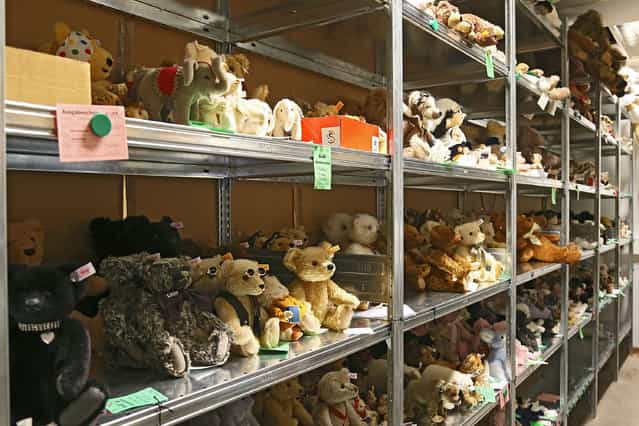Stuffed toys fill shelves at the Steiff stuffed toy factory on November 23, 2012 in Giengen an der Brenz, Germany. Founded by seamstress Margarethe Steiff in 1880, Steiff has been making stuffed teddy bears since the early 20th century ever since her nephew Richard Steiff exhibited the first commercially produced teddy bear in Europe in 1903. Teddy bears are among the most popular children's toys and the company is hoping for a strong Christmas season. (Photo by Thomas Niedermueller)