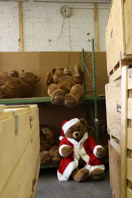 A teddy bear wears a Santa Claus costume at the Steiff stuffed toy factory on November 23, 2012 in Giengen an der Brenz, Germany. Founded by seamstress Margarethe Steiff in 1880, Steiff has been making stuffed teddy bears since the early 20th century ever since her nephew Richard Steiff exhibited the first commercially produced teddy bear in Europe in 1903. Teddy bears are among the most popular children's toys and the company is hoping for a strong Christmas season. (Photo by Thomas Niedermueller)