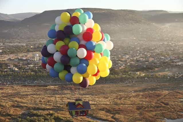 Real-life Up House Flys