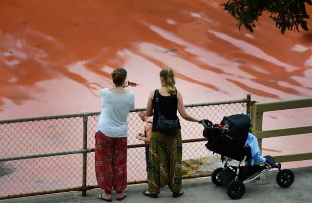 People inspect a red algae bloom discolouring the water at Sydney's Clovelly Beach on November 27, 2012, which closed some beaches for swimming including Bondi Beach for a period of time. While the red algae, known as Noctiluca scintillans or sea sparkle, has no toxic effects, people are still advised to avoid swimming in areas with discoloured water because the algae, which can be high in ammonia, can cause skin irritation. (Photo by William West/AFP Photo)