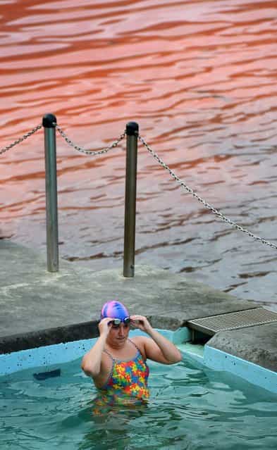 A swimmer swims in the safety of the swimming pool as a red algae bloom discolours the water at Sydney's Clovelly Beach on November 27, 2012, which closed some beaches for swimming including Bondi Beach for a period of time. While the red algae, known as Noctiluca scintillans or sea sparkle, has no toxic effects, people are still advised to avoid swimming in areas with discoloured water because the algae, which can be high in ammonia, can cause skin irritation. (Photo by William West/AFP Photo)