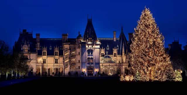 A 40-year-old tree from Tennessee stands lit on the front lawn of The Biltmore Estate in Ashville, N.C. (Photo by Sandra Stambaugh/The Biltmore Company)