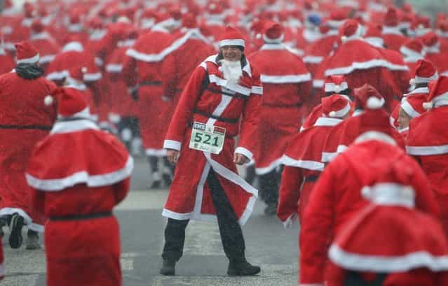 Participants dressed as Santa Claus run in the 4th annual Michendorf Santa Run (Michendorfer Nikolauslauf) on December 9, 2012 in Michendorf, Germany. Over 800 people took part in this year's races that included children's and adults' races. (Photo by Sean Gallup)