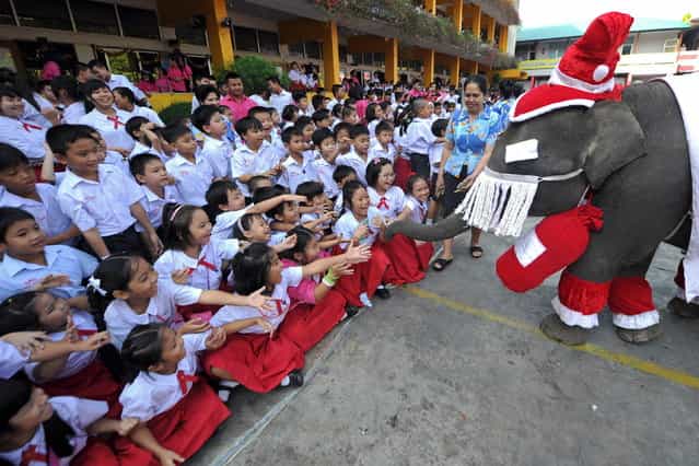 An elephant dressed in a Santa Claus costume gives out gifts to students to mark the Christmas season at a school in Ayutthaya province on December 24, 2010. The event was held as part of a campaign to promote Christmas in Thailand. AFP PHOTO / PORNCHAI KITTIWONGSAKUL (Photo credit should read PORNCHAI KITTIWONGSAKUL/AFP/Getty Images)