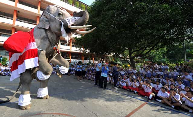 An elephant dressed in a Santa Claus costume performs by standing on its hind legs before giving out gifts to students to mark the Christmas season at a school in Ayutthaya province on December 24, 2010. The event was held as part of a campaign to promote Christmas in Thailand. AFP PHOTO / PORNCHAI KITTIWONGSAKUL (Photo credit should read PORNCHAI KITTIWONGSAKUL/AFP/Getty Images)