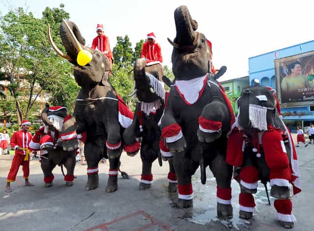Elephants dressed in Santa Claus costumes perform before giving out gifts to students to mark the Christmas season at a school in Ayutthaya province on December 24, 2010. The event was held as part of a campaign to promote Christmas in Thailand. AFP PHOTO / PORNCHAI KITTIWONGSAKUL (Photo credit should read PORNCHAI KITTIWONGSAKUL/AFP/Getty Images)