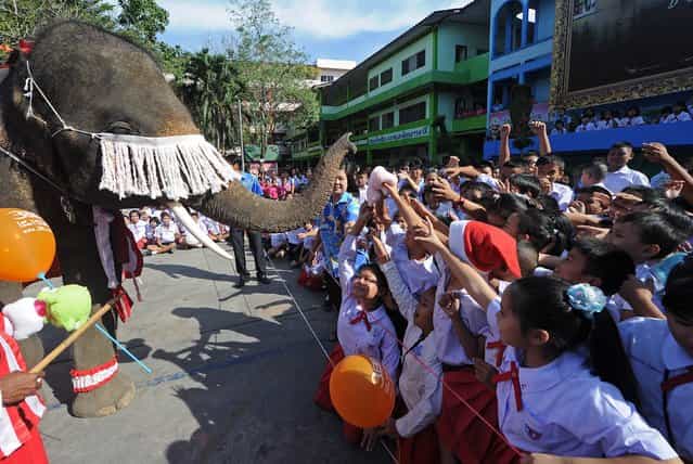 An elephant dressed in a Santa Claus costume gives a toy to students ahead of the Christmas festival at a school in Ayutthaya province on December 23, 2011. The event was held as part of a campaign to promote Christmas in Thailand. AFP PHOTO/Pornchai KITTIWONGSAKUL (Photo credit should read PORNCHAI KITTIWONGSAKUL/AFP/Getty Images)