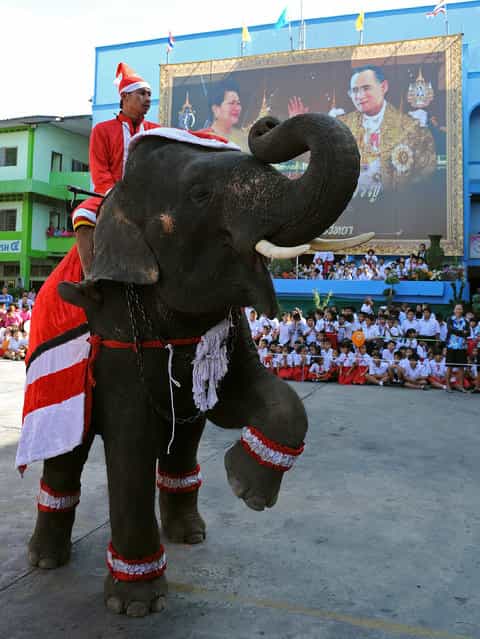 An elephant dressed in a Santa Claus costume performs for students ahead of the Christmas festival at a school in Ayutthaya province on December 23, 2011. The event was held as part of a campaign to promote Christmas in Thailand. AFP PHOTO/Pornchai KITTIWONGSAKUL (Photo credit should read PORNCHAI KITTIWONGSAKUL/AFP/Getty Images)