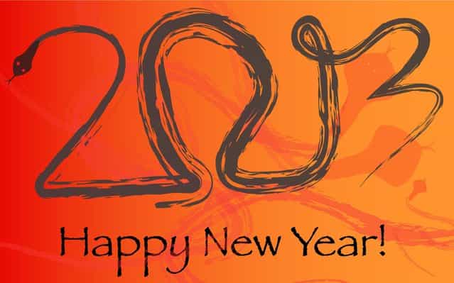Happy New 2013 Year!
