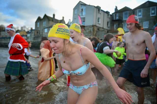 Revelers react as they join around 1,000 New Year swimmers, many in costume, braved freezing conditions in the River Forth in front of the Forth Rail Bridge during the annual Loony Dook Swim on January 1, 2013 in South Queensferry, Scotland. Thousands of people gathered last night to see in the New Year at Hogmanay celebrations in towns and cities across Scotland.. (Photo by Jeff J. Mitchell)