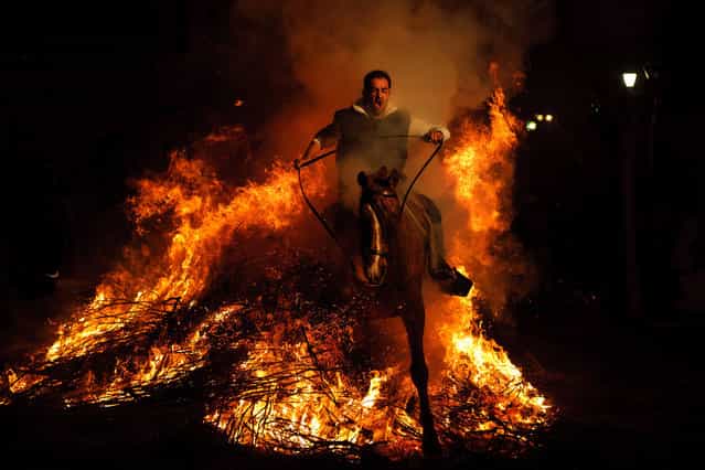 A man rides a horse through a bonfire in San Bartolome de Pinares, Spain, Monday, January 16, 2012, in honor of Saint Anthony, the patron saint of animals. On the eve of Saint Anthony's Day, hundreds ride their horses trough the narrow cobblestone streets of the small village of San Bartolome during the [Luminarias], a tradition that dates back 500 years and is meant to purify the animals with the smoke of the bonfires and protect them for the year to come. (Photo by Daniel Ochoa de Olza/AP Photo)
