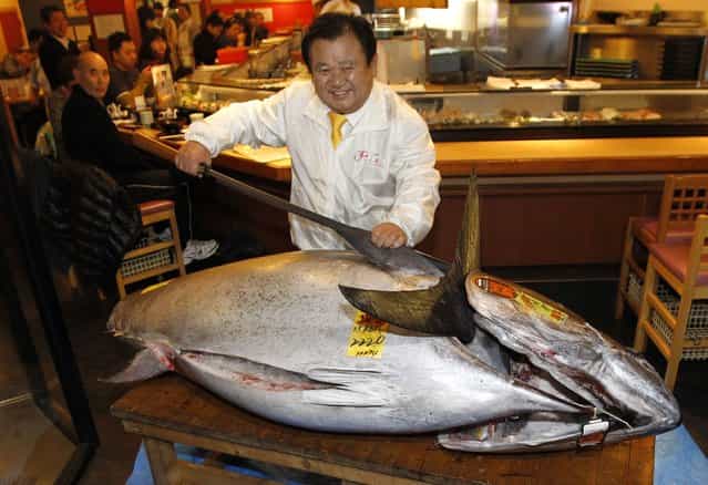President of sushi restaurant chain Sushi-Zanmai, Kiyoshi Kimura, displays a 222kg bluefin tuna at his main restaurant near Tokyo's Tsukiji fish market on January 5, 2013. The bluefin tuna was traded at 155.4 million yen (1.77 million USD) at the wholesale market, smashing a previous record. (Photo by Yoshikazu Tsuno/AFP Photo)