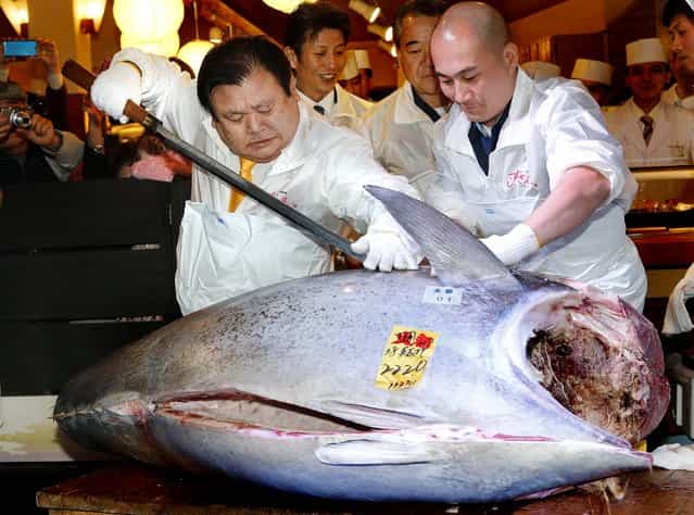 Winning bidder Kiyoshi Kimura, president of Kiyomura Co., cuts the bluefin tuna at his Sushi Zanmai restaurant, January 5, 2013. (Photo by Koji Sasahara/Associated Press)
