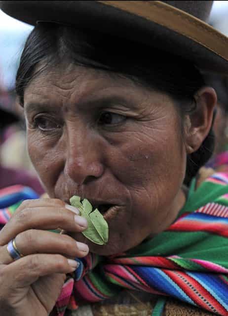 An Aymara indigenous woman chews coca leaves during a celebration for the reincorporation of Bolivia to the UN Convention Against Illicit Traffic in Narcotic Drugs in La Paz on January 14, 2013. "The coca leaf is not any more seen as cocaine (..), it is a victory of our identity" said Bolivian President Evo Morales. AFP PHOTO/Jorge Bernal (Photo credit should read JORGE BERNAL/AFP/Getty Images)