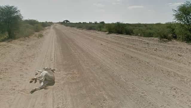Google Street View Captures Donkey Accident