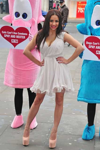 A glamour model Lacey Banghard attends a photocall for PETA to encourage pet owners to have their cats and dogs sterilised at Picadilly Circus on January 22, 2013 in London, England. (Photo by Ben Pruchnie)
