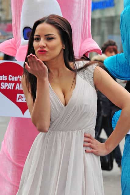 A glamour model Lacey Banghard attends a photocall for PETA to encourage pet owners to have their cats and dogs sterilised at Picadilly Circus on January 22, 2013 in London, England. (Photo by Ben Pruchnie)