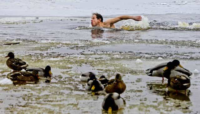 A man swims through icy waters of the Dnipro river in Kiev, Ukraine, January 23, 2013. (Photo by Sergei Chuzavkov/Associated Press)