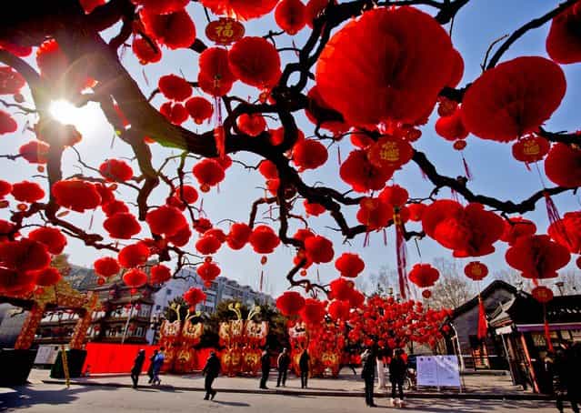 Visitors stroll by trees decorated with red lanterns for the upcoming Chinese New Year celebrations on February, 10, at Ditan Park in Beijing. (Photo by Andy Wong/Associated Press)