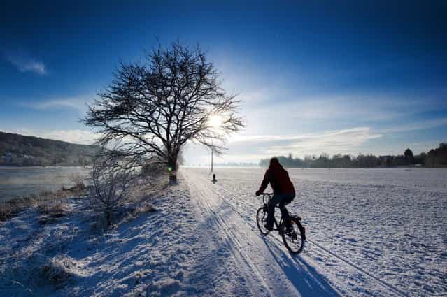 A cyclist rides on a snow-covered cycling path along the banks of the Elbe river in Dresden, Germany, 06 February 2013. Snowfalls in the evening hours of the previous day had covered many regions in Germany with a fresh white coating. (Photo by Arno Burgi/EPA)