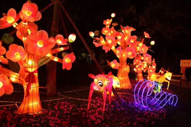 People visit a lantern show to celebrate the Spring Festival on February 17, 2013 in Guangzhou, China. The Chinese Lunar New Year of Snake also known as the Spring Festival, which is based on the Lunisolar Chinese calendar, is celebrated from the first day of the first month of the lunar year and ends with Lantern Festival on the Fifteenth day. (Photo by China Foto Press)