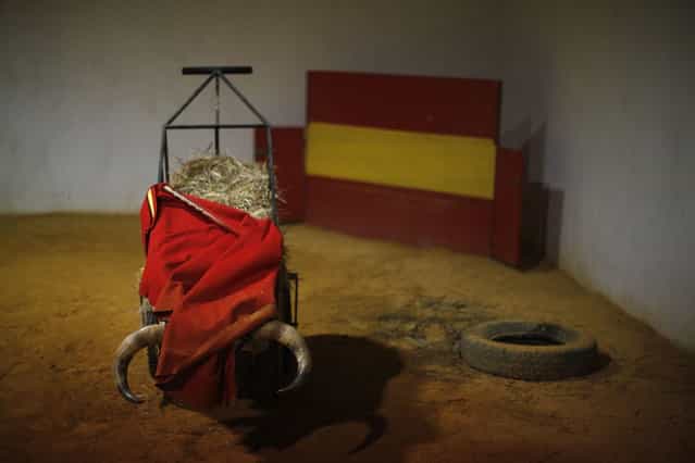 A [muleta], a stick that the red cloth hangs from in the final third of a bullfight, is seen on a cart with bull horns before the training of Spanish bullfighter Rafael Tejada at Reservatauro Ronda cattle ranch in Ronda, near Malaga February 12, 2013. Spain's parliament voted on Tuesday to consider protecting bullfighting as a national pastime, angering animal rights campaigners and politicians in two regions where the sport is banned. (Photo by Jon Nazca/Reuters)