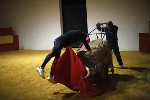 Spanish bullfighter Rafael Tejada (L) drives the sword into straw bales in a cart with bull horns pushed by his assistant Jose Maria San Nicolas during training at Reservatauro Ronda cattle ranch in Ronda, near Malaga February 12, 2013. Spain's parliament voted on Tuesday to consider protecting bullfighting as a national pastime, angering animal rights campaigners and politicians in two regions where the sport is banned. (Photo by Jon Nazca/Reuters)