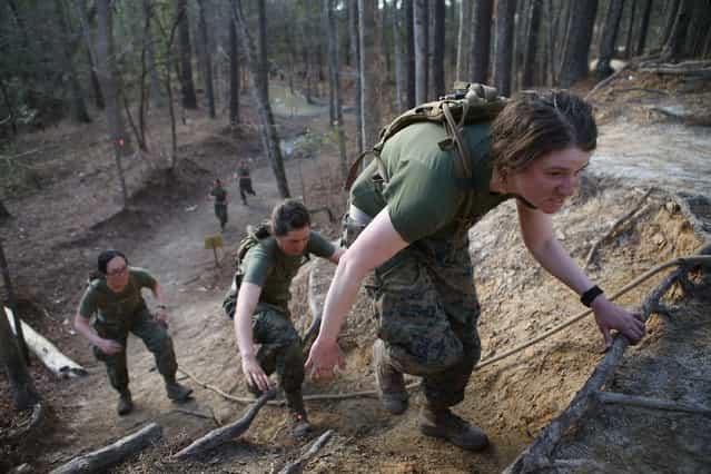 Female Marines climb a hill while running the Endurance Course during Marine Combat Training (MCT) on February 20, 2013 at Camp Lejeune, North Carolina. Since 1988 all non-infantry enlisted male Marines have been required to complete 29 days of basic combat skills training at MCT after graduating from boot camp. MCT has been required for all enlisted female Marines since 1997. About six percent of enlisted Marines are female. (Photo by Scott Olson)