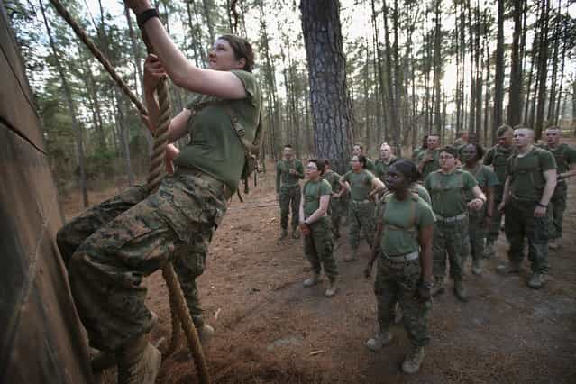 Male and female Marines wait to climb an obstacle on the Endurance Course during Marine Combat Training (MCT) on February 20, 2013 at Camp Lejeune, North Carolina. Since 1988 all non-infantry enlisted male Marines have been required to complete 29 days of basic combat skills training at MCT after graduating from boot camp. MCT has been required for all enlisted female Marines since 1997. About six percent of enlisted Marines are female. (Photo by Scott Olson)