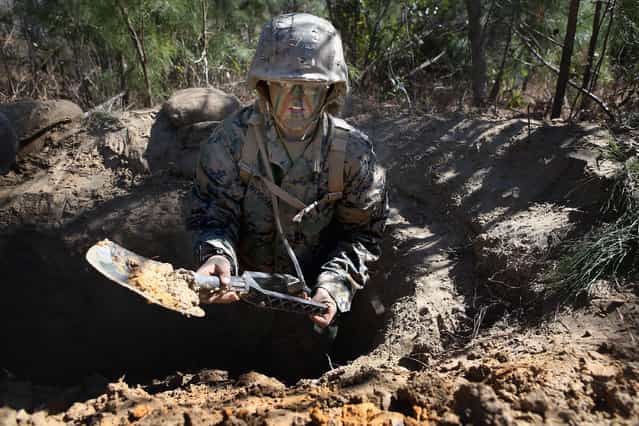 Pfc. Schevlle Woodard from Grand Prairie, Texas digs a fighting hole during Marine Combat Training (MCT) on February 20, 2013 at Camp Lejeune, North Carolina. Since 1988 all non-infantry enlisted male Marines have been required to complete 29 days of basic combat skills training at MCT after graduating from boot camp. MCT has been required for all enlisted female Marines since 1997. About six percent of enlisted Marines are female. (Photo by Scott Olson)