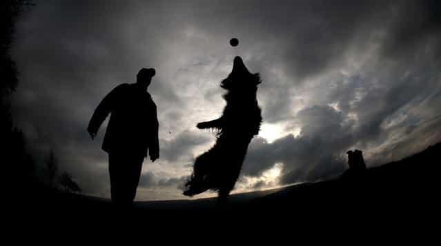 A man playes with his dog in Grossenwieden, northern Germany, Sunday, February 17, 2013. Meteorologists forecast a mixture of sun and snow falls in large parts of Germany for the upcoming days. (Photo by Julian Stratenschulte/AP Photo/DPA)