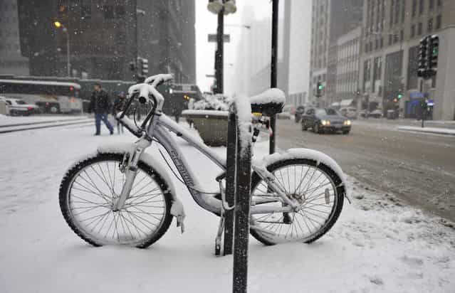 A bicycle is covered in snow on March 5, 2013 in Chicago, Illinois. The worst winter storm of the season is expected to dump 7-10 inches of snow on the Chicago area with the worst expected for the evening commute. (Photo by Brian Kersey/AFP Photo)