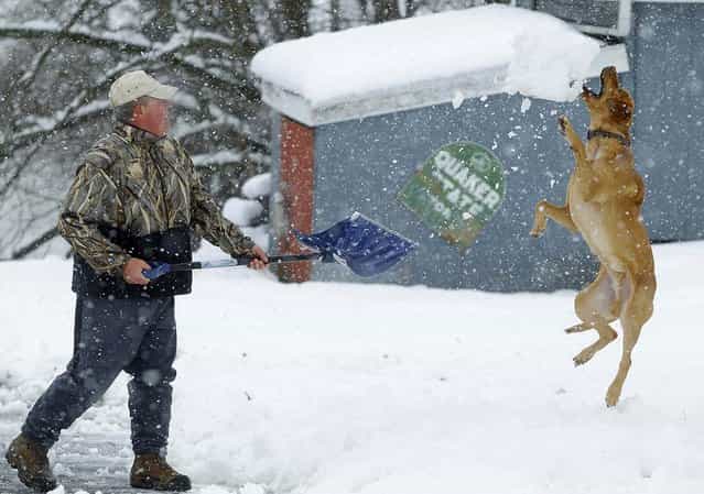 Bill Groves plays with his dog Red while shovelling snow during a massive blizzard near Mt. Jackson, Virginia March 6, 2013. Washington and its suburbs face what could be their heaviest snowfall in two years on Wednesday, as a fierce storm headed east after blanketing the Midwestern United States, snarling traffic and causing hundreds of flight cancellations. (Photo by Gary Cameron/Reuters)