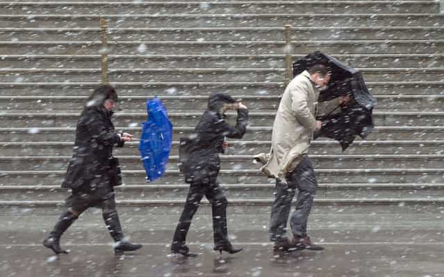 People walk as snow falls during a late winter storm at the US Capitol in Washington, DC, March 6, 2013. Federal offices and many schools have closed in preparation for a mix of snow, sleet and rain which could account for the area's largest winter storm in two years. (Photo by Saul Loeb/AFP Photo)