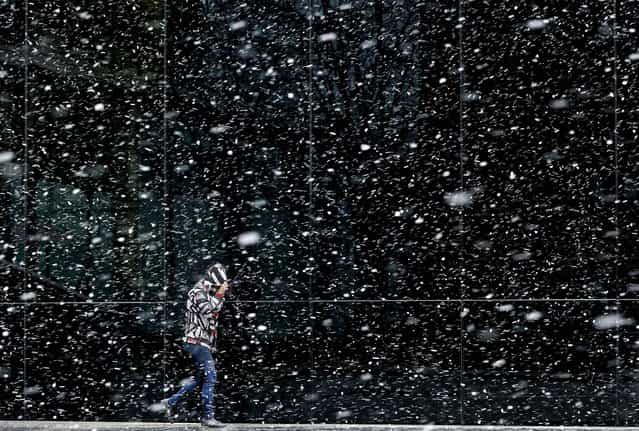 A pedestrian walks through the snow in London, on March 11, 2013. (Photo by Kirsty Wigglesworth/Associated Press)