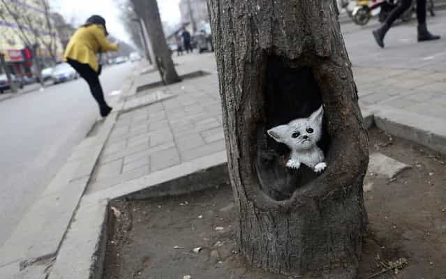 An image of a Fennec fox painted on a tree hole by Wang Yue is seen in Shijiazhuang, on March 13, 2013. Wang Yue, a senior at Dalian Industry University, uses her paintbrush to turn ugly tree holes into lovely views in Shijiazhuang, capital city of Hebei Province, China. Wang and her companions call the tree-hole paintings [meitu], which means [beautiful journey]. The paintings on the trees have brightened the city during the dull, grey winter. (Photo by Pillar Lee/Reuters)
