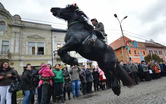 A man rides a horse during a parade on Hungary's National Day in Targu Secuiesc (250km north of Bucharest) on March 15, 2013. Thousands of ethnic Hungarians from the central Transylvanian region of Romania gather in a celebration in Targu Secuiesc to mark the 1848 Hungarian Revolution. (Photo by Daniel Mihailescu/AFP Photo)
