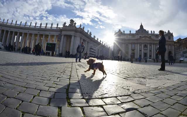 A dog runs on St Peter's square on March 14, 2013 at the Vatican. Pope Francis celebrated the same day his first mass as pontiff in the Sistine Chapel together with the cardinals who elected him the day before. (Photo by Johannes Eisele/AFP Photo)