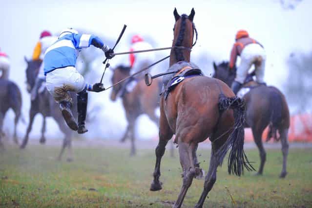 Jockey Danny Fitzsimons parts comapny with Surprise Witness, UK, on March 9, 2013. Thankfully both were ok afterwards. (Photo by Healy Racing)