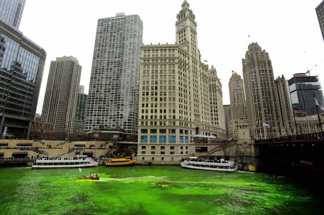 The Chicago River is dyed green before the start of the St. Patrick's Day parade in Chicago, on March 16, 2013. With the holiday itself falling on a Sunday, many celebrations were scheduled instead for Saturday because of religious observances. (Photo by Paul Beaty/Associated Press)
