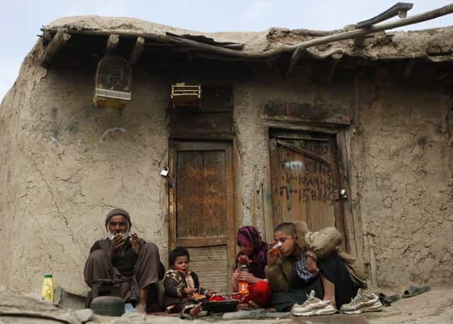 An Afghan family has lunch on the roof of a bird market in Kabul March 20, 2013. (Photo by Mohammad Ismail/Reuters)