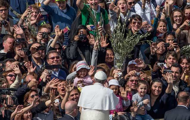 Pope Francis is cheered by the crowd after celebrating his first Palm Sunday Mass, in St. Peter's Square, at the Vatican as tens of thousands joyfully waved olive branches and palm fronds, on March 24, 2013. The square overflowed with some 250,000 pilgrims, tourists and Romans eager to join the new pope at the start of solemn Holy Week ceremonies. (Photo by Alessandra Tarantino/Associated Press)