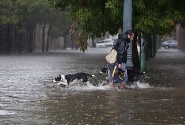 A man and dogs cross a flooded street in Belgrano neighborhood, Buenos Aires on April 2, 2013, after heavy reains. A violent storm with torrential rain and powerful wind left five people dead Tuesday in Buenos Aires as it knocked out power, downed trees and damaged homes, officials said. (Photo by Jose Luis Perrino/AFP Photo)