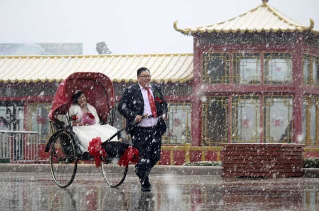 A man pulls a rickshaw carrying his wife during their wedding ceremony as snow falls in Weihai, China, on March 30, 2013. (Photo by Reuters)