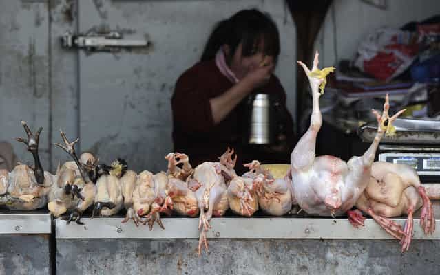 A vendor eats as she waits for customers at a poultry market in Hefei, Anhui province, April 1, 2013. Two people in Shanghai, one of China’s largest cities, died this month after contracting a strain of avian influenza that had never been passed to humans before, the official Xinhua News Agency reported on Sunday. (Photo by Stringer/Reuters)