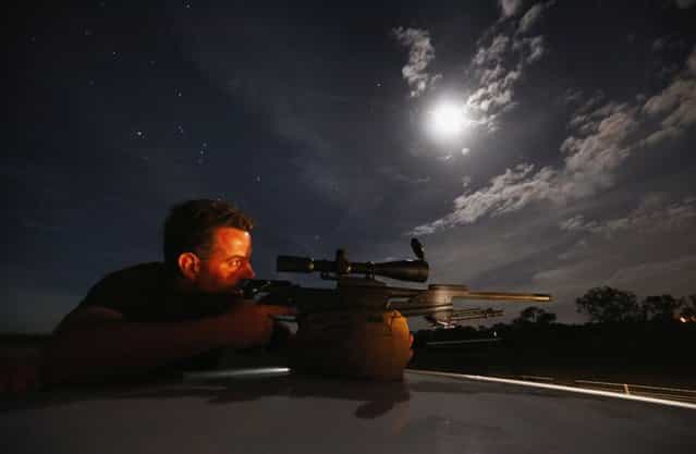 Kangaroo shooter Steven O’Donnell rests his .223 calibre rifle on the roof of his truck as he aims at a group of kangaroos on a property located on the outskirts of Australia’s capital city Canberra March 23, 2013. O’Donnell, a professional plumber, shoots kangaroos on local farmer’s properties around three times a week as part of the annual cull, running from March until the end of July, which involves the legal shooting and tagging of thousands of eastern grey kangaroos per year in the Australian Capital Territory. Picture taken March 23, 2013. (Photo by David Gray/Reuters)