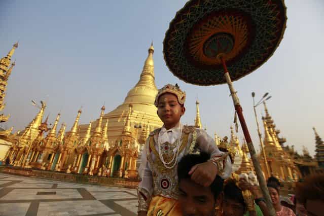 A boy rides on the shoulders his family members as they proceed through the compounds of the Shwedagon Pagoda during their [Shin Phu], a ceremony to initiate novice monks, in Yangon, Myanmar, on April 3, 2013. (Photo by Soe Zeya Tun/Reuters)