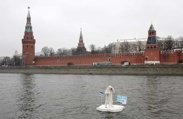 A greenpeace activist dressed as a polar bear sits on the wooden block of ice on the Moskva River in Moscow, Russia, protesting against plans of oil companies' drilling in the Arctic, on April 1, 2013. The activist was arrested by police, but is released on freedom later. (Photo by Liza Udilova/Greenpeace)