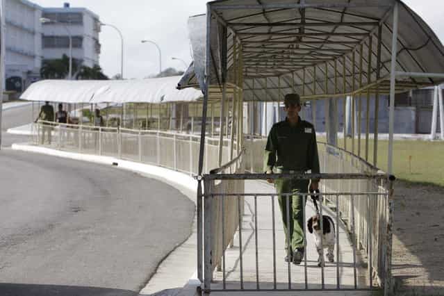 A military guard walks with a dog at the Combinado del Este prison, during a media tour of the prison in Havana, Cuba, Tuesday, April 9, 2013. Cuban authorities led foreign journalists through the maximum security prison, the largest in the Caribbean country that houses 3,000 prisoners. Cuba says they have 200 prisons across the country, including five that are maximum security. (Photo by Franklin Reyes/AP Photo)