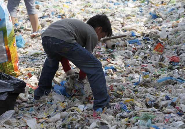 A student collects garbage in an effort to clean up the coast of the Paranaque coastal Habitat and Ecotourism area, home to a mangrove forest and a bird sanctuary, as part of the advanced commemoration of Earth Day in Manila April 20, 2013. (Photo by Romeo Ranoco/Reuters)